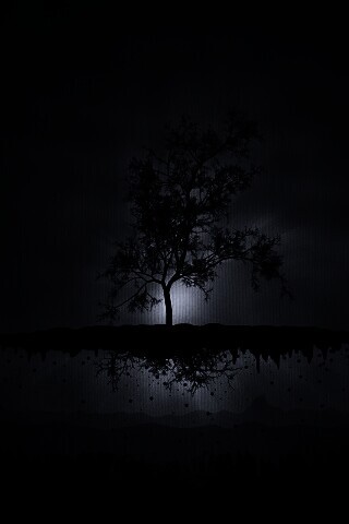 Когда деревья летают обои