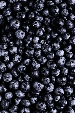 Черника обои