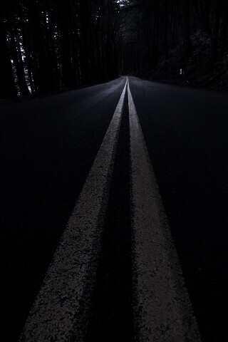 Дорога в лесу обои