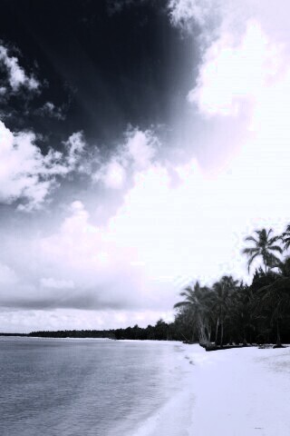 Тропическое побережье обои