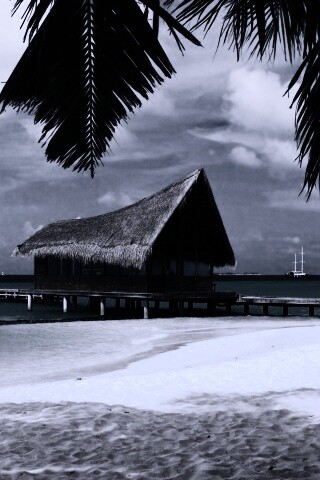 Бунгало обои