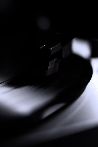 Пластинка обои