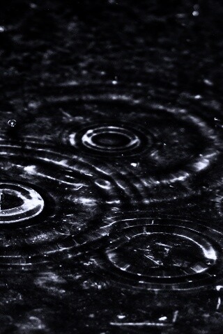 Круги на воде обои