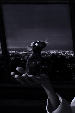 Рататуй на ладони обои