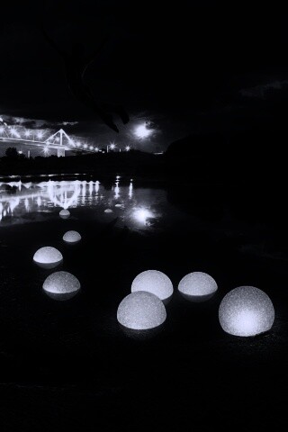 Свобода обои