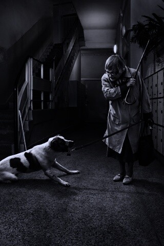 Непослушная собака обои