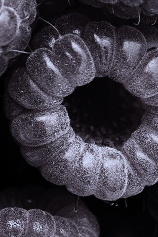 Малина обои