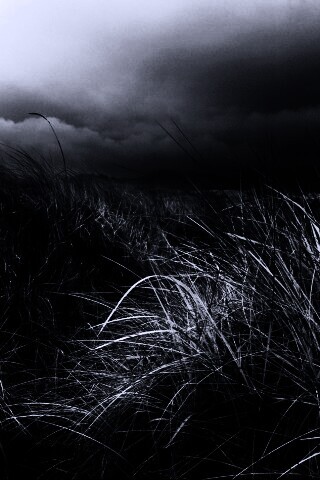 В ожидании шторма обои