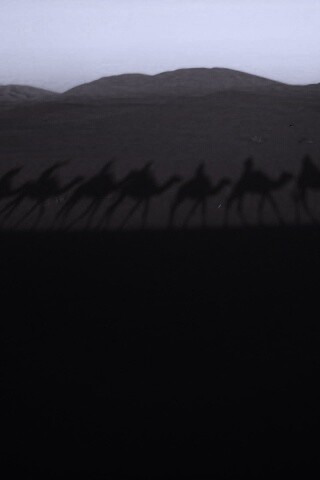 Караван обои