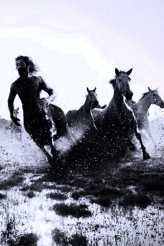 Кентавр обои