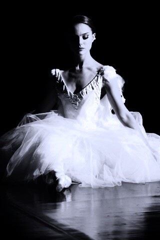 Черный лебедь обои