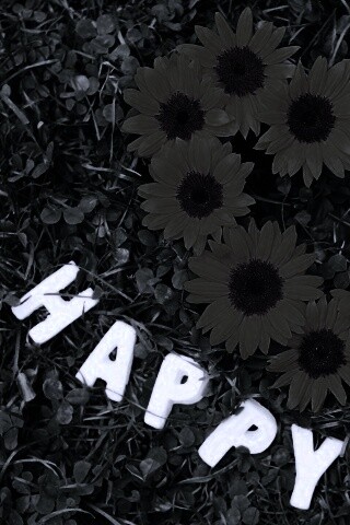 Радость обои