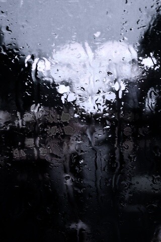 После дождя обои