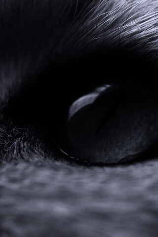 Кошачий глаз обои