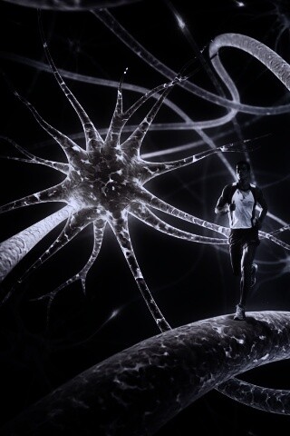 Бег мыслей обои