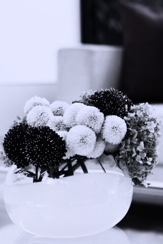 Цветы в белой вазе обои