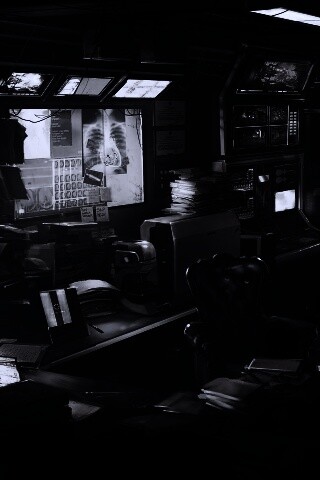 Кабинет обои