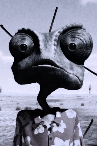 Ранго в колючках от кактуса обои