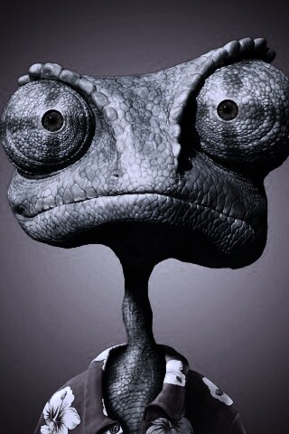 Ранго на красном фоне обои