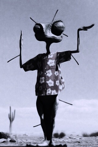 Ранго и кактус обои