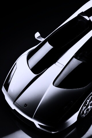 Светло-серый Lamborghini обои