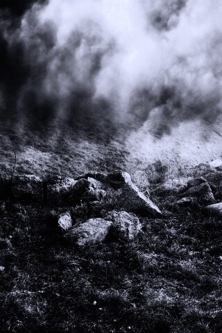 Камни под туманом обои