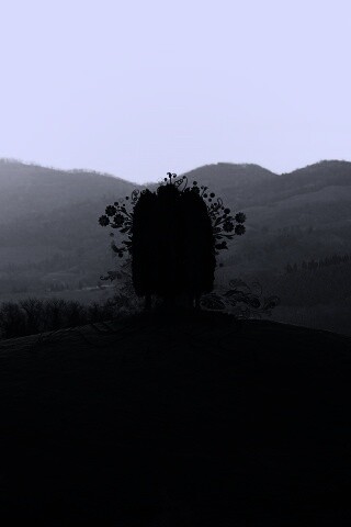 Деревья на холме обои