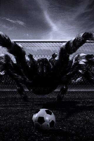 Вратарь обои