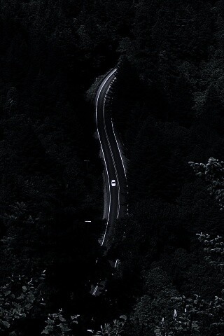 Лесная трасса обои