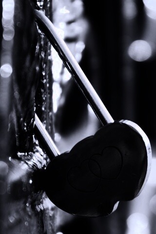 Они вместе обои