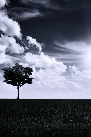 Один в целом мире обои