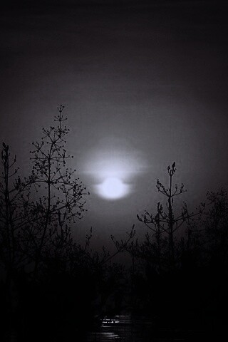 Доисторическое утро обои