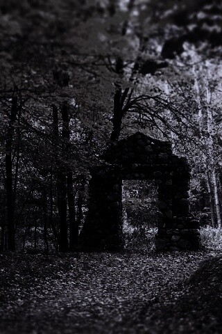 Каменная арка в осеннем лесу обои