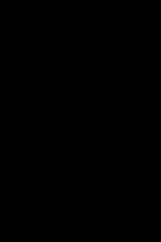 Черный цветастый узор под хохлому обои