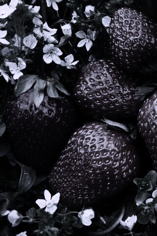 Клубника обои