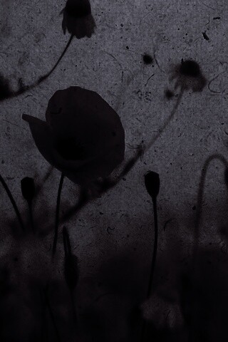 Кровавые цветы в стиле ретро обои