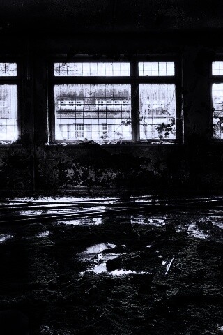 Запустение обои