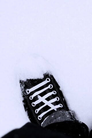 Дурак зимой в кедах обои