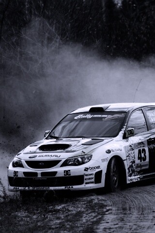 Раллийная гонка обои