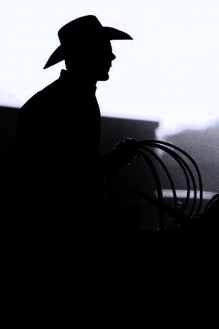 Ковбой с лассо на коне обои