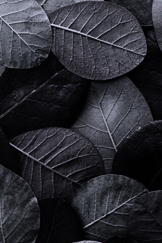 Лиственный узор обои