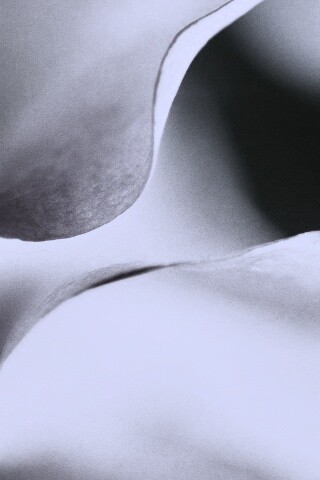 Оттенки природы обои