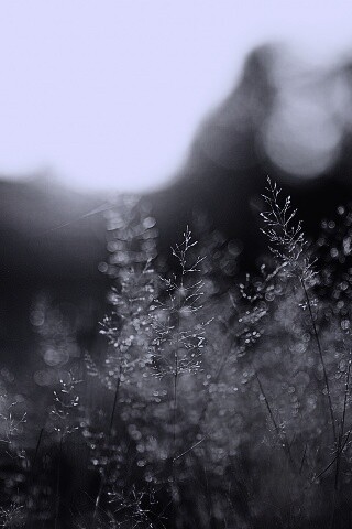 Посмотри на этот мир обои