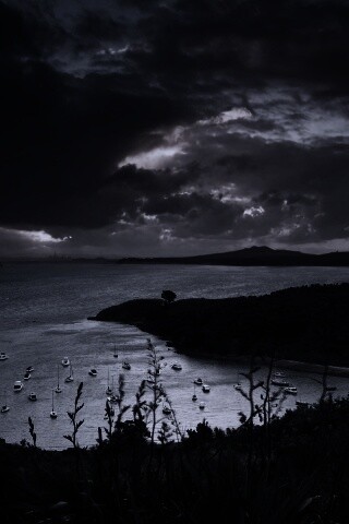 Waiheke Island, New Zealand обои