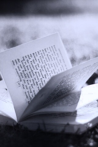 Книга в нежном свете обои