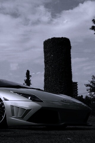 Зелёный Ламборджини на траве обои