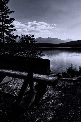 Деревянная скамья на берегу озера обои