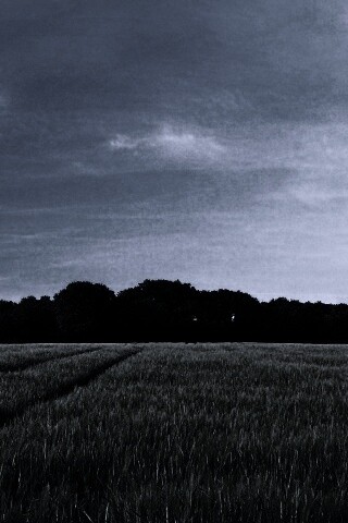 Следы колеи в поле обои