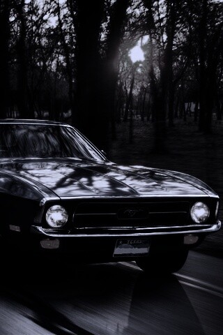 Мустанг обои