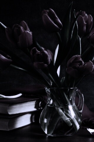 Букет красных тюльпанов обои